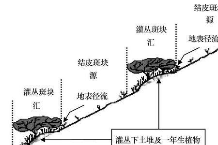 下渗和地下径流区别