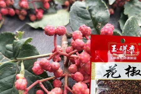 花椒和大料哪个放米里防虫好