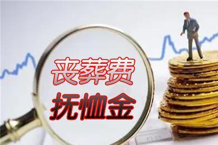 什么是抚慰金