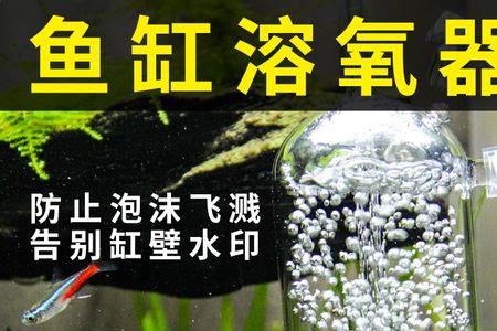 鱼缸过滤生红虫是怎么回事