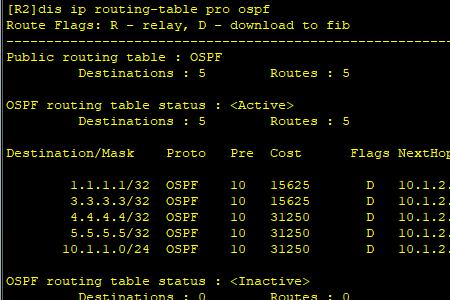 ospf触发更新的时间