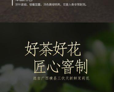 春蕾茉莉花茶怎么样