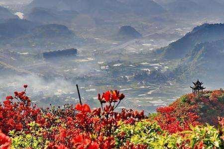 山花烂漫什么季节