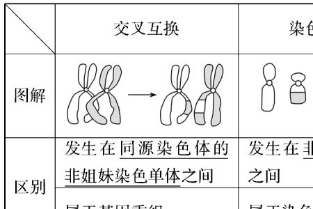 基因突变和非基因突变的区别