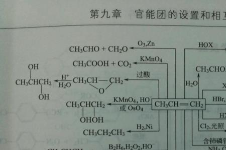 能发生水解反应的官能团有哪些