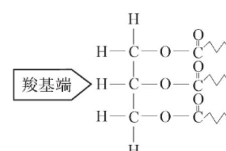 磷脂的重要组成部分