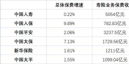 非车险保费是什么