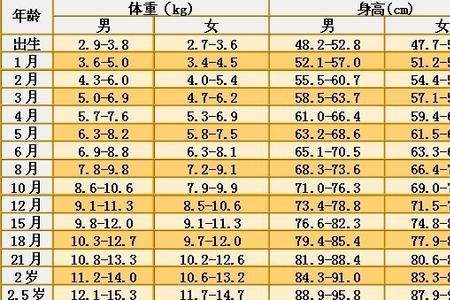 10个月是多少年