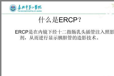 ercp协议的内容