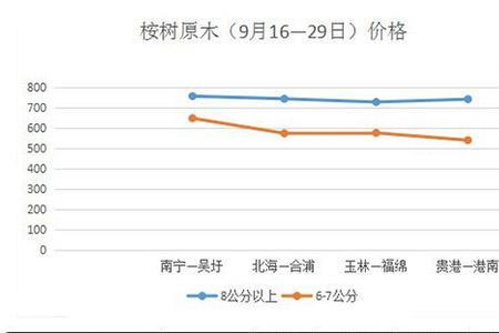 广西桉木介绍