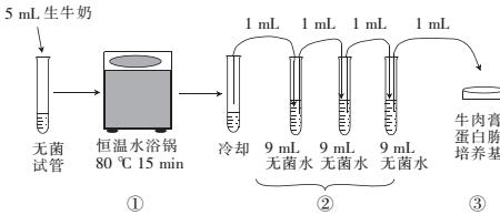 梯度稀释和浓度稀释一样吗