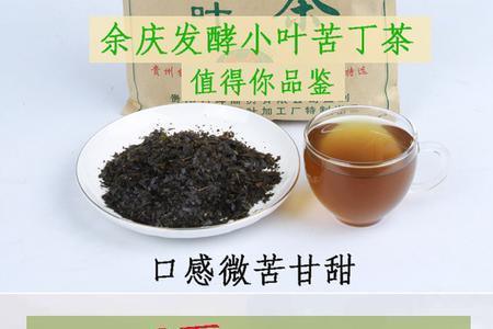 苦丁茶属性