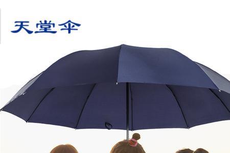 雨伞天堂什么意思