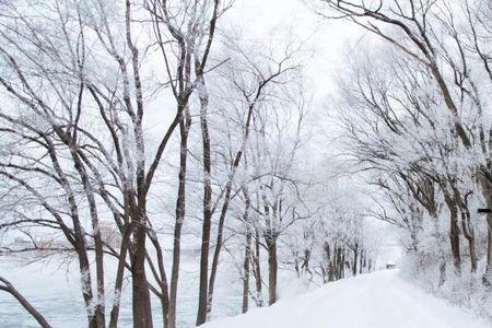 马上下雪了什么意思