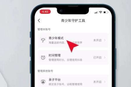 ipad喜马拉雅怎么设置青少年模式