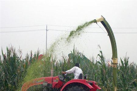 高湿玉米和青储区别