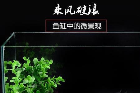 鱼缸放石头影响水质吗