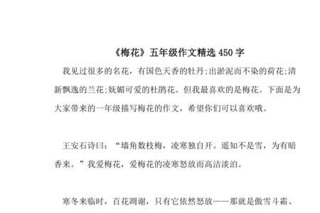 梅花表现什么样的人50字