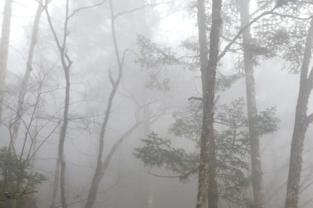 雨雾弥漫的意思