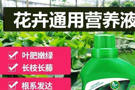 植物通用型营养液怎么使用