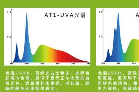 全光谱和led的区别