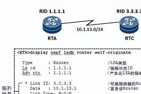 ospf端口类型