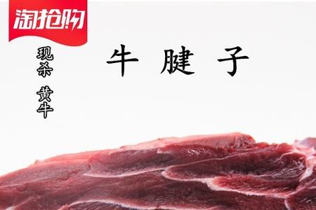 牛腱子肉好吃还是里脊肉好吃