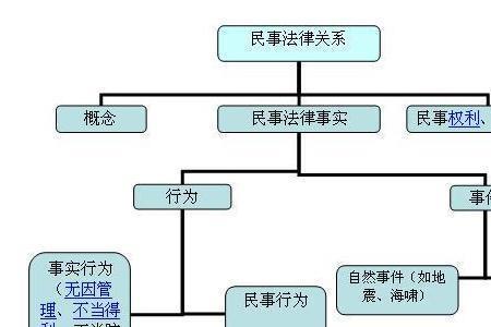 民事权利能力的概念由哪国提出