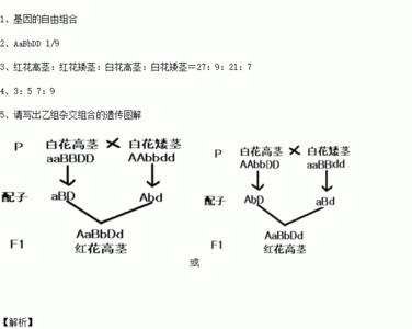 什么是不同性状的基因