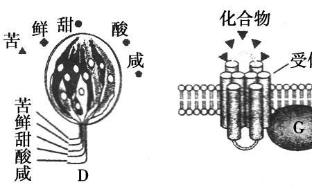 细胞级养鲜和全空间保鲜的区别