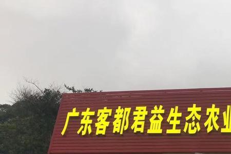 经营范围食用农产品都包括什么