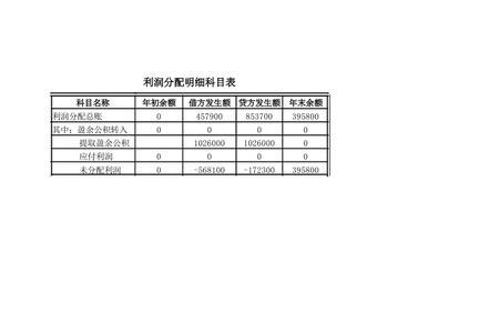 利润分配方案怎么写