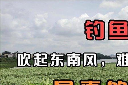 11后东南风好钓鱼吗