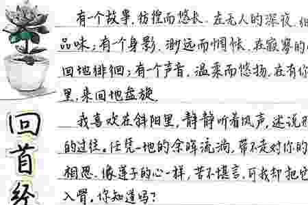 回首经年什么意思