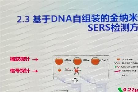 纳米检测是什么