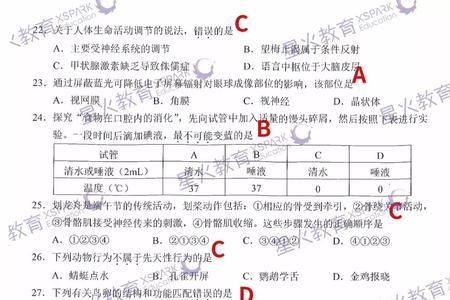 生地总分是什么意思