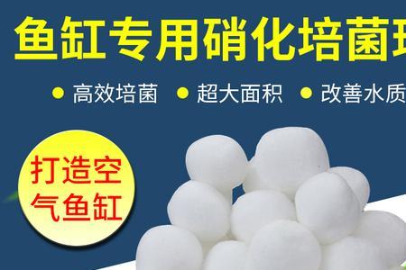 硝化细菌一次加多少为好