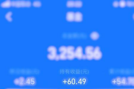 支付宝互助金可以查询吗