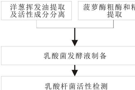 酵母菌可以进行乳酸发酵吗