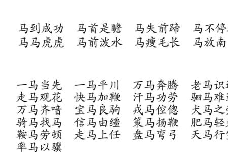 带元明字的成语大全