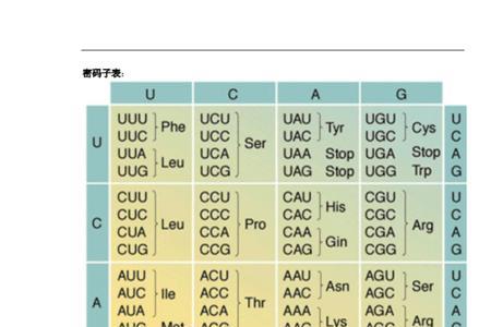 密码子的简并性和容错性