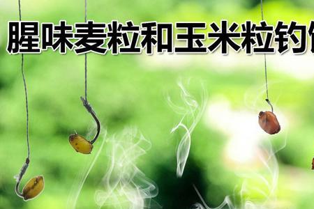 玉米麦粒的腌制方法