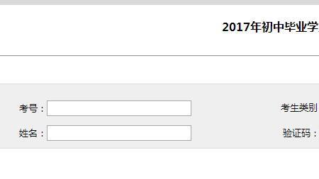 中考成绩可以用几种设备查询