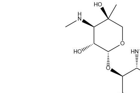 甲基芳香胺的化学名称