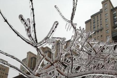 雪是混合物吗