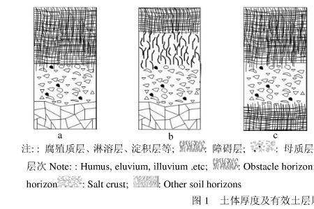 湿地有淋溶层吗