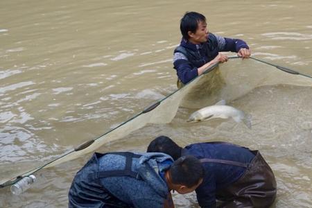 干水面是什么意思