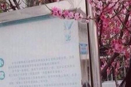 远房表姐是什么意思