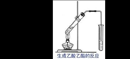 酯类物质可以和水反应吗