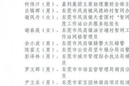 四个人的组织叫什么名字